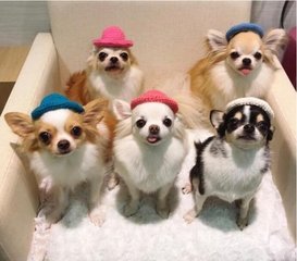 tp钱包usdt换trx