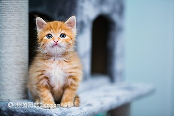 imToken官网正版官方网站