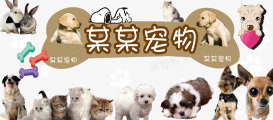 tokenpocket钱包usdt