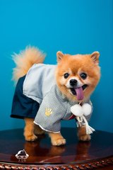 Cobo钱包app官网下载