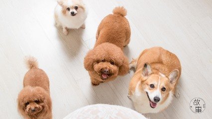 数字货币钱包imtoken