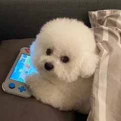 下载tp钱包app官方下载安装